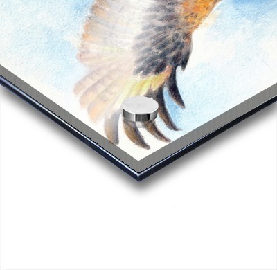 400x390 Red Tail Hawk Wings Watercolor