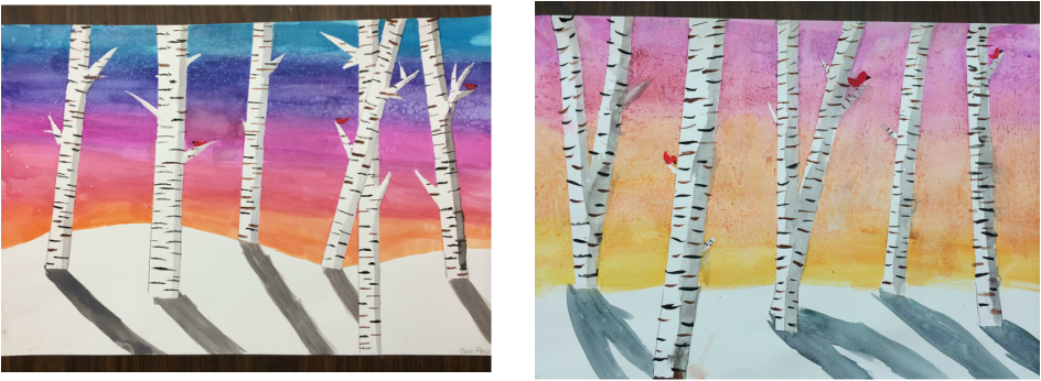 944x346 Grade 6 Birch Trees
