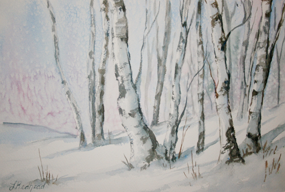 576x389 Leslie Redhead Fine Art Winter Birch Trees