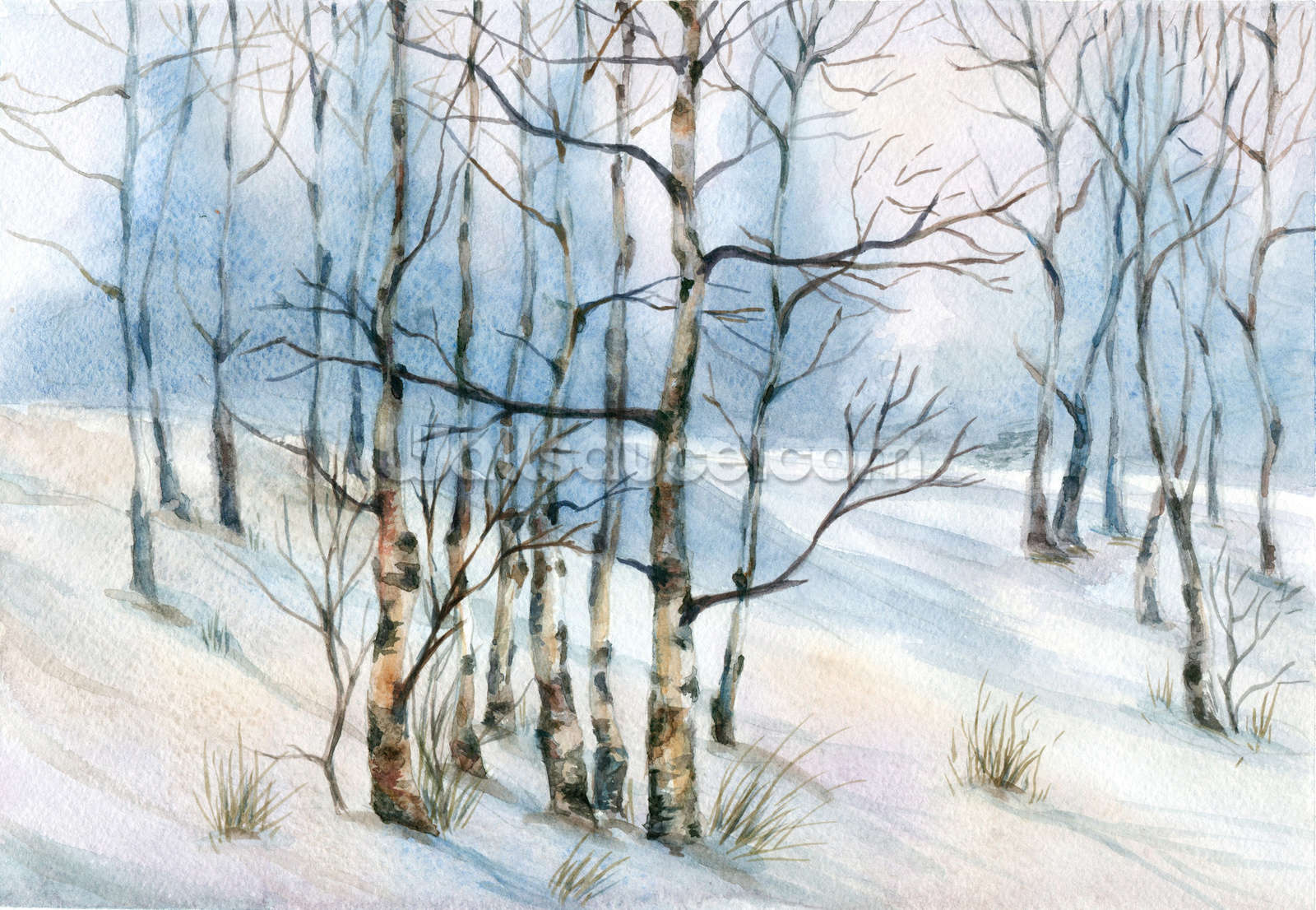 1600x1106 Winter Birch Tree Watercolor Wallpaper Wall Mural Wallsauce Germany