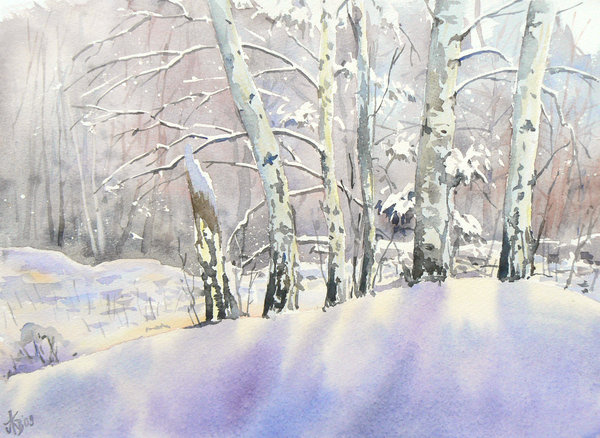 600x438 Birch Trees In Winter By Mashami