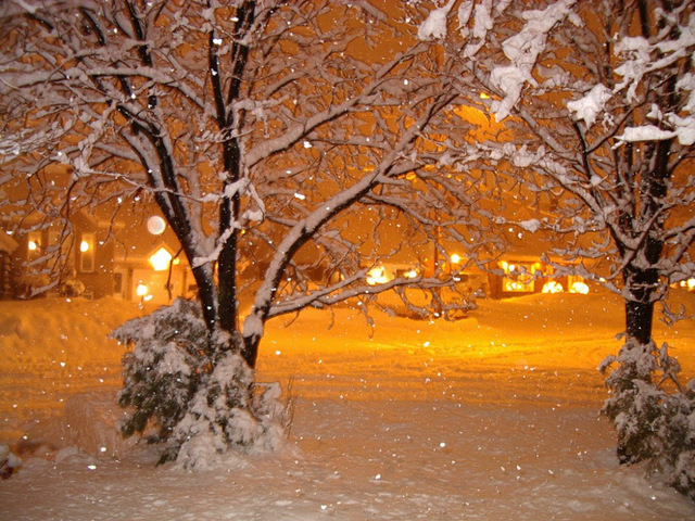 640x480 6 Lights Free Shipping Christmas Gift Wall Art Canvas Print