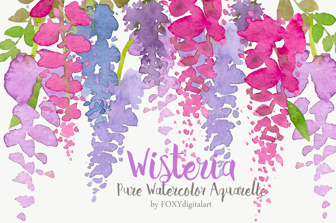 1160x772 Watercolor Flower Clipart Wisteria By Foxydigitalart