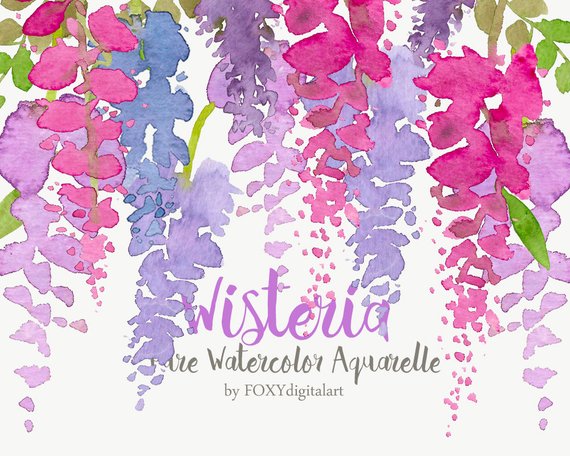570x456 Watercolor Flowers Wisteria Clipart Aquarelle Floral Set Etsy