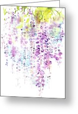 155x226 Wisteria Watercolor Version Framed Print By Sumiyo Toribe