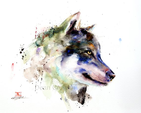 570x456 Wolf Watercolor Print Wolf Painting Wolf Art By Dean Etsy