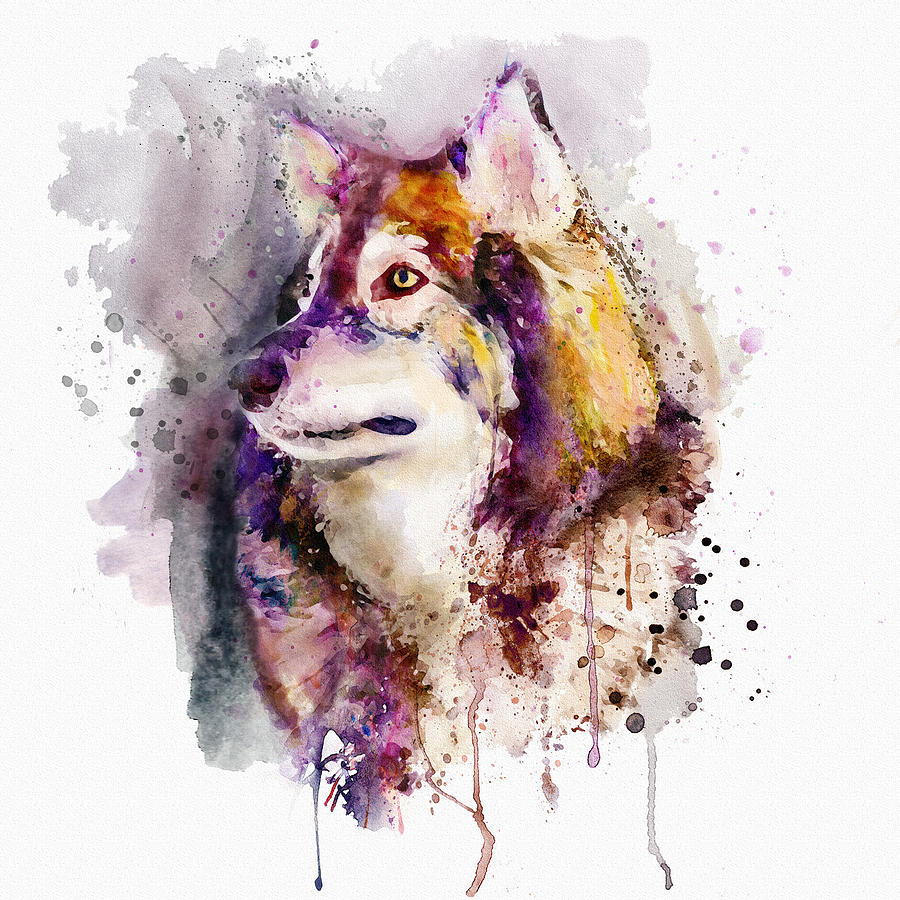 900x900 Watercolor Wolf Portrait Painting By Marian Voicu
