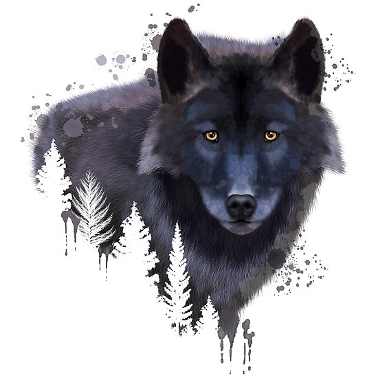 550x550 Wolf Watercolor, Wolf Painting, Wolf Portrait, Wolf Art, Wolf