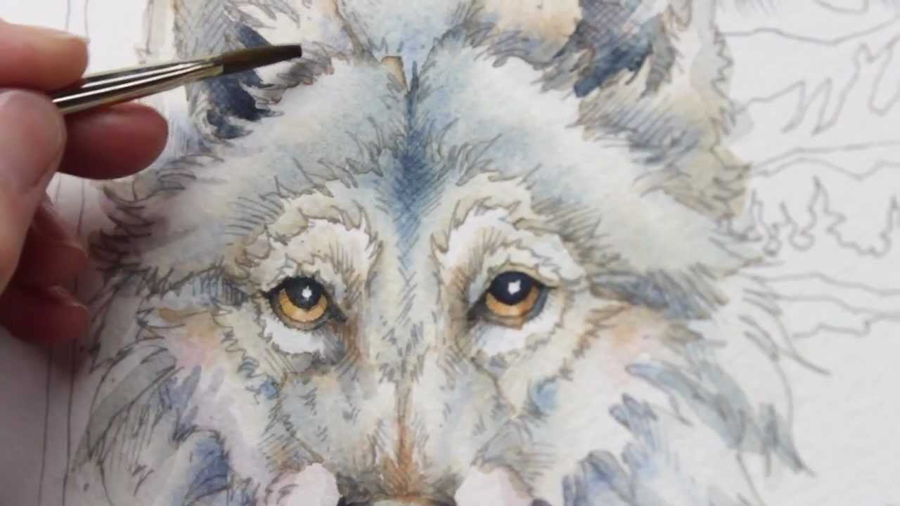 1280x720 How To Paint A Wolf By Jody Bergsma