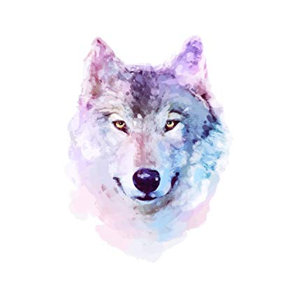 425x425 Watercolor Wolf Blue Purple And White