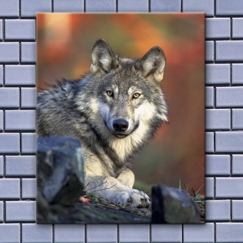 350x350 Realistic Fierce Watercolor Paint Wolf Painting By Numbers