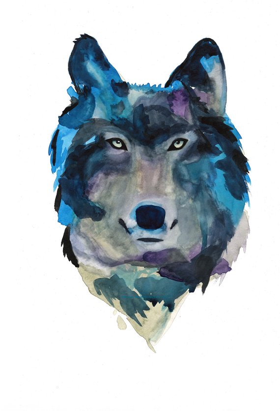 570x836 Wolf Watercolor Art Print Native American Painting Northern