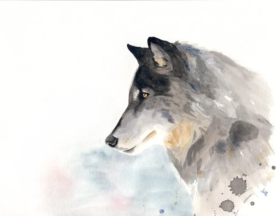 570x440 Wolf Watercolor Painting Print Deckle Edge Art Animal Etsy
