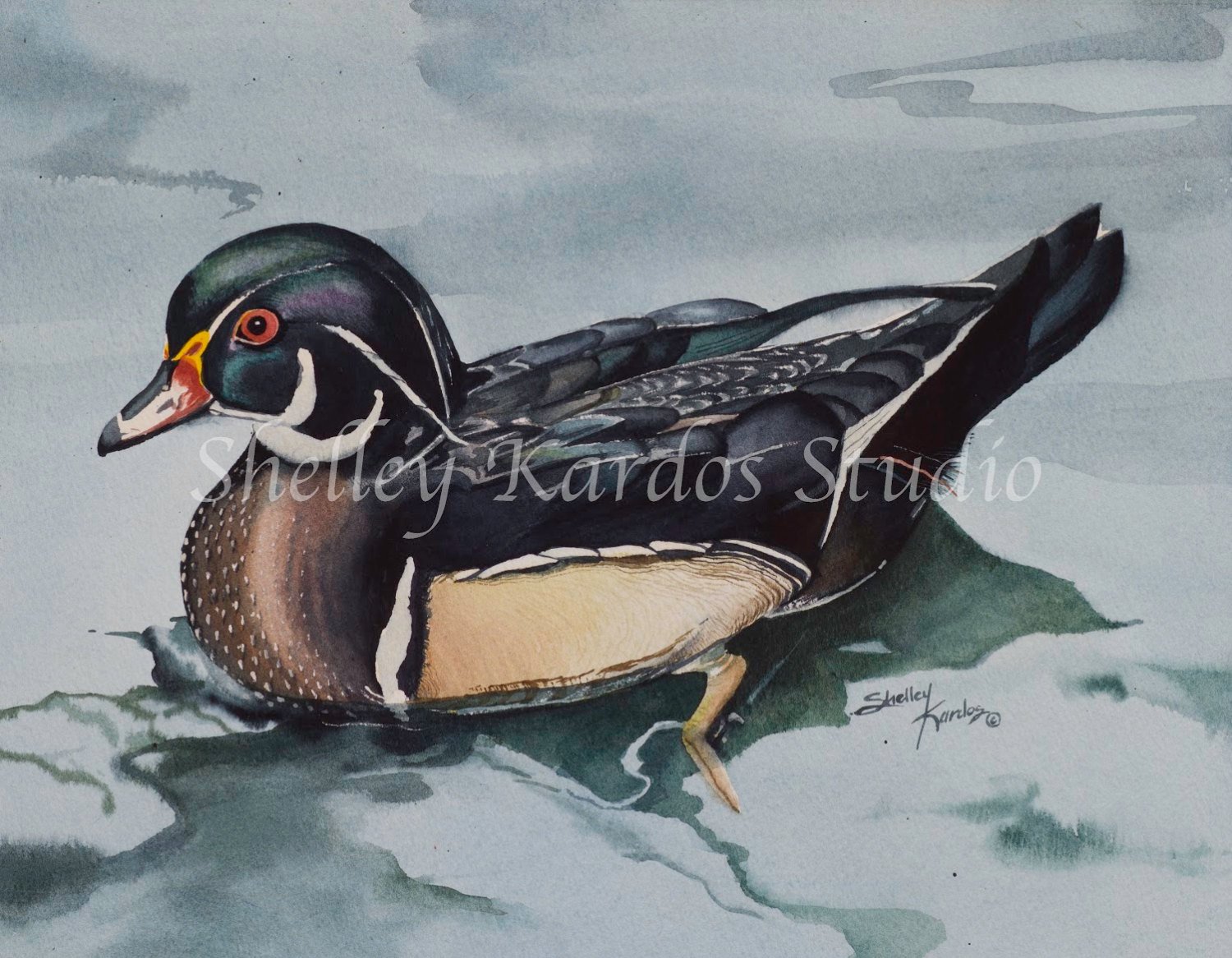 1500x1166 Watercolor North American Wood Duck Giclee Print Etsy