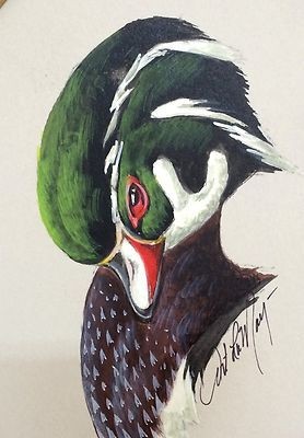 278x400 Wood Duck Original Watercolor By Art Lamay