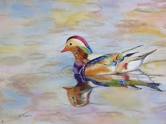 570x428 Wood Duck Watercolor Original Duck Painting Colorful Bird 8x10 Etsy