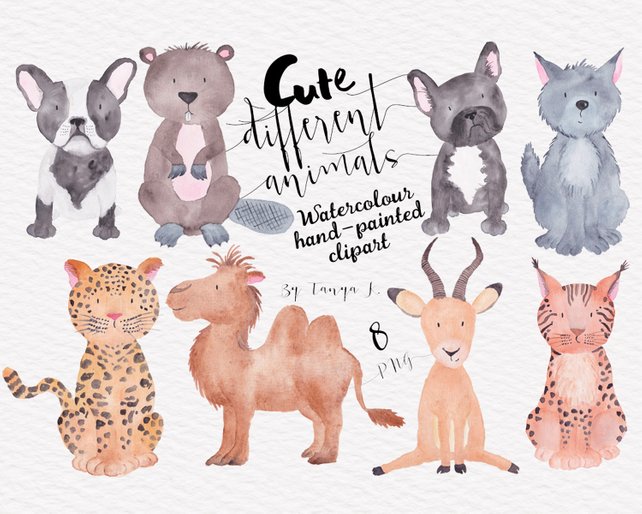 642x514 Animals Watercolor Clip Art Dogs Clipart Commercial Use Etsy