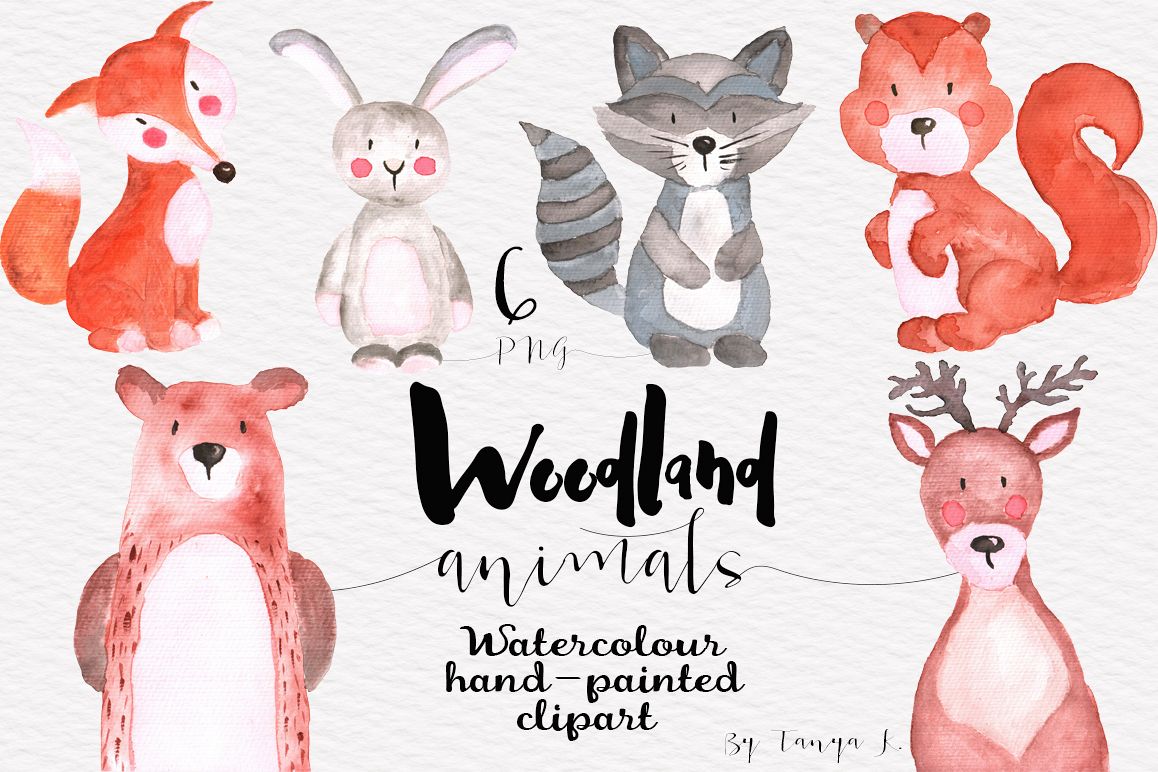 1158x772 Woodland Animals Watercolor Set