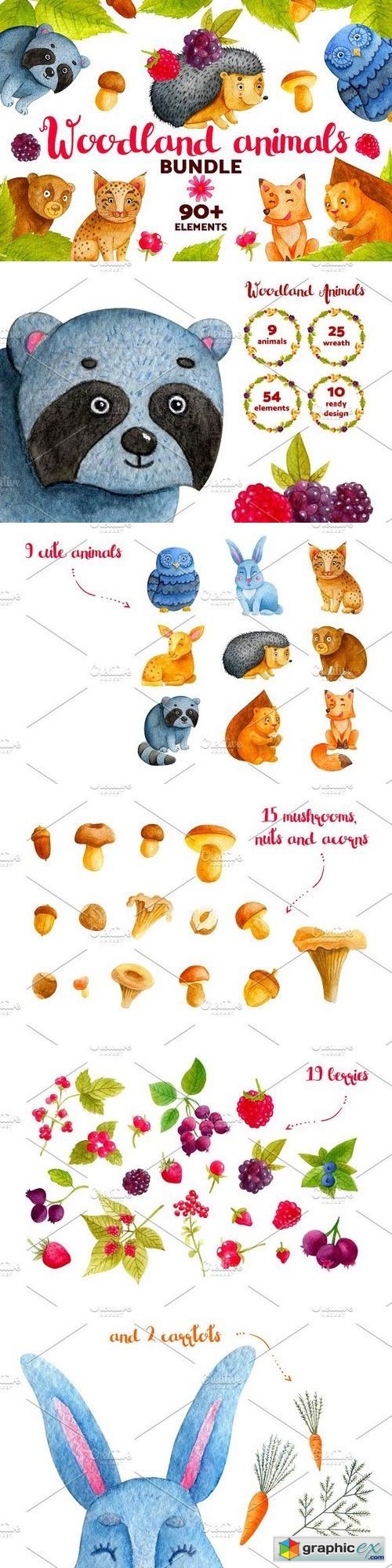 500x1998 Woodland Animals. Watercolor Bundle Free Download Vector Stock