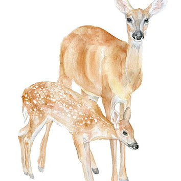 354x354 Doe And Fawn Watercolor Painting Giclee From Susan Windsor