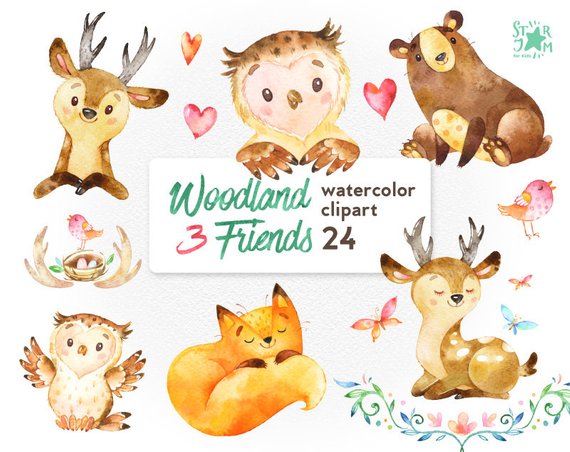 570x452 Woodland Friends 3. Watercolor Animals Clipart Fox Forest Etsy