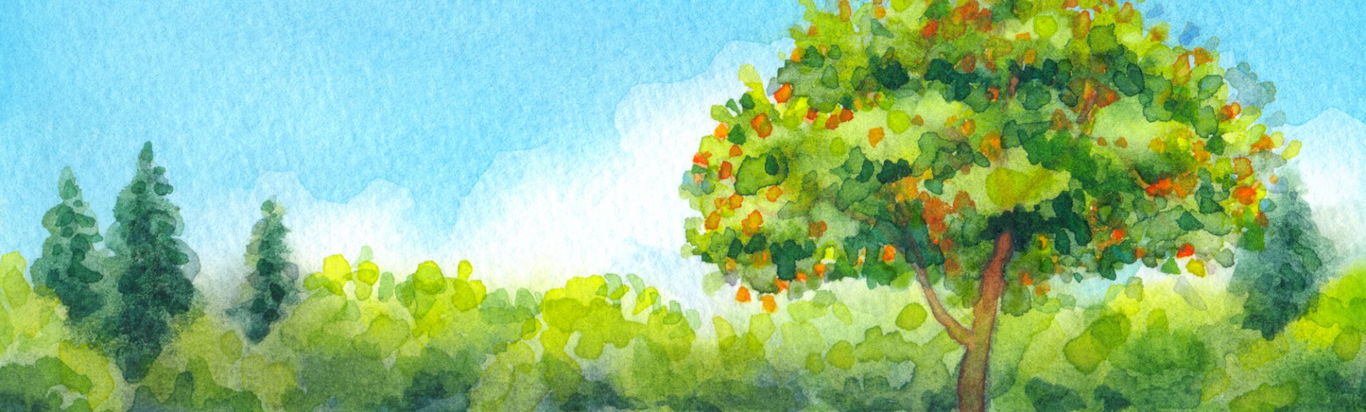 1920x580 World Watercolor Month Days Of The Year