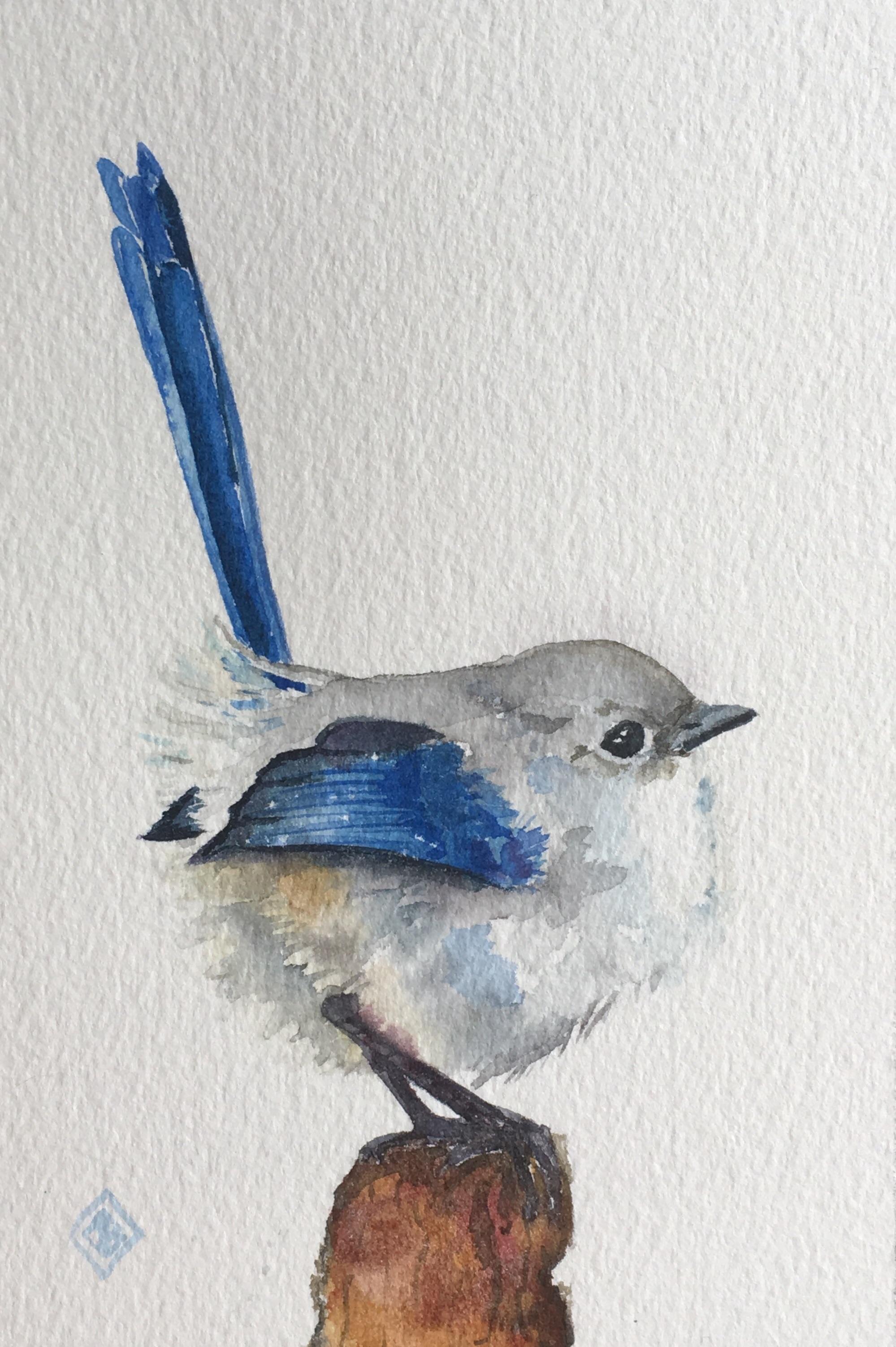 1999x3003 Fairy Wren, Watercolor, Art