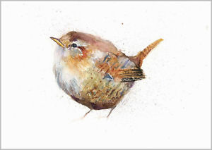 300x213 Helen April Rose Limited Print Jenny Wren Bird Art Watercolour 314