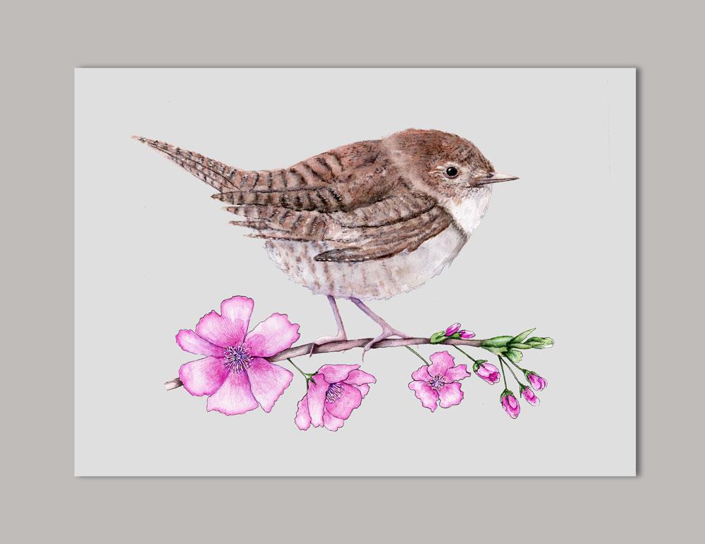 1000x773 House Wren On Cherry Branch Watercolor Art Print Laura Ashton
