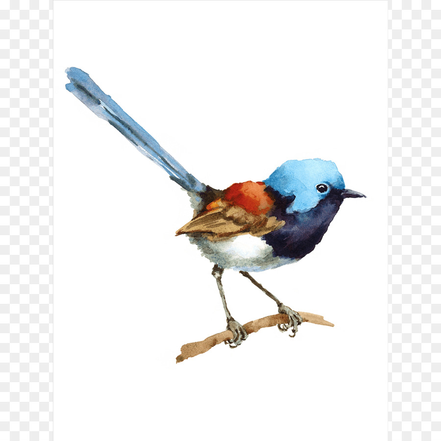 900x900 House Wren Bird Watercolor Painting