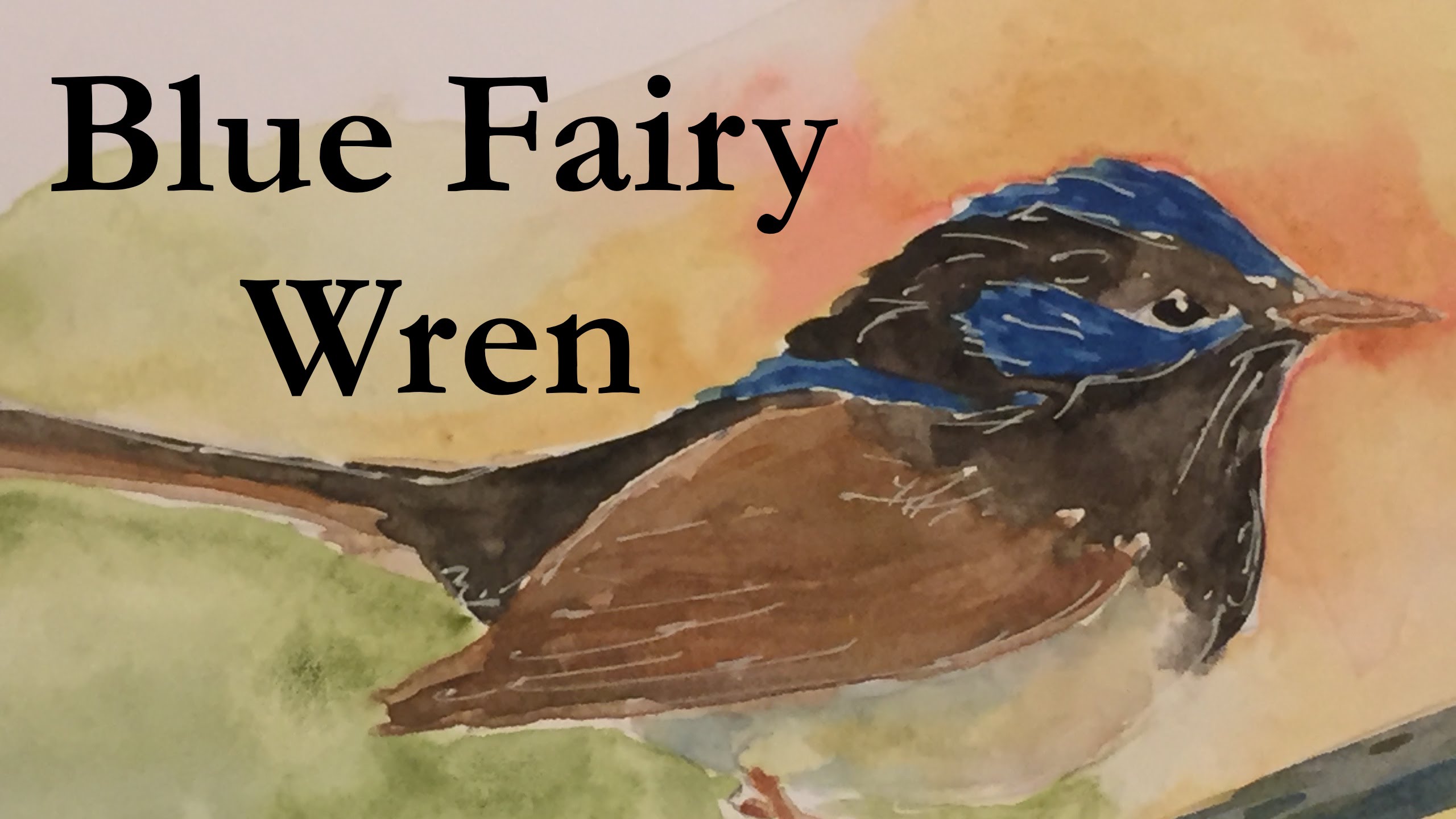 2560x1440 How To Paint A Wren In Watercolour Watercolor Bird Blue Fairy