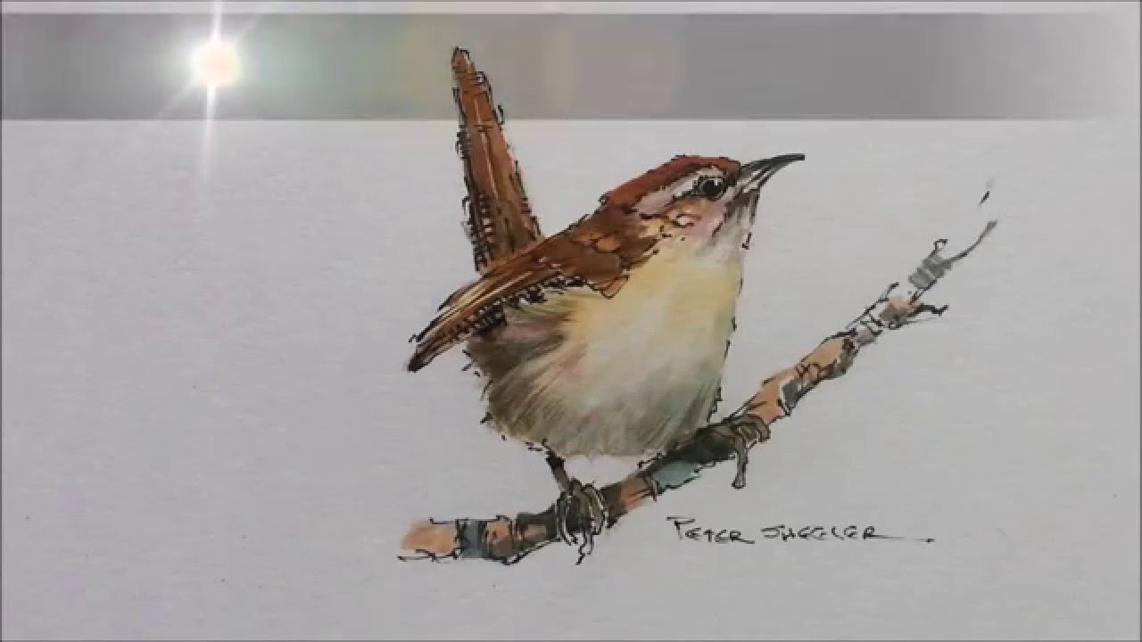 1280x720 How To Paint A Bird, Wren Tutorial. Quick And Easy! With Peter