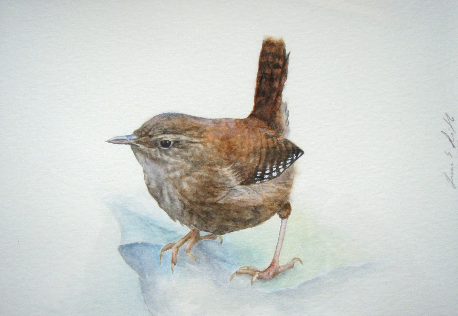1600x1104 Laura Makes Art And Stuff Watercolor Wren