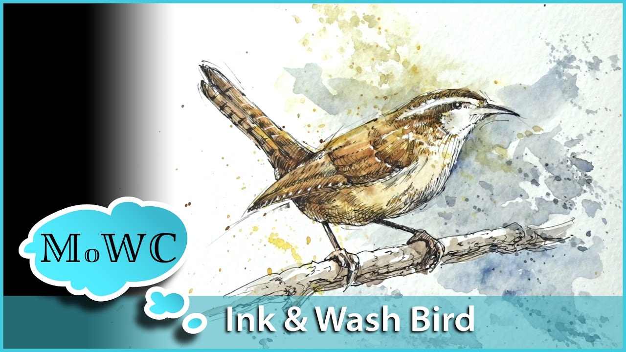 1280x720 Painting A Wren In Watercolor Line And Wash