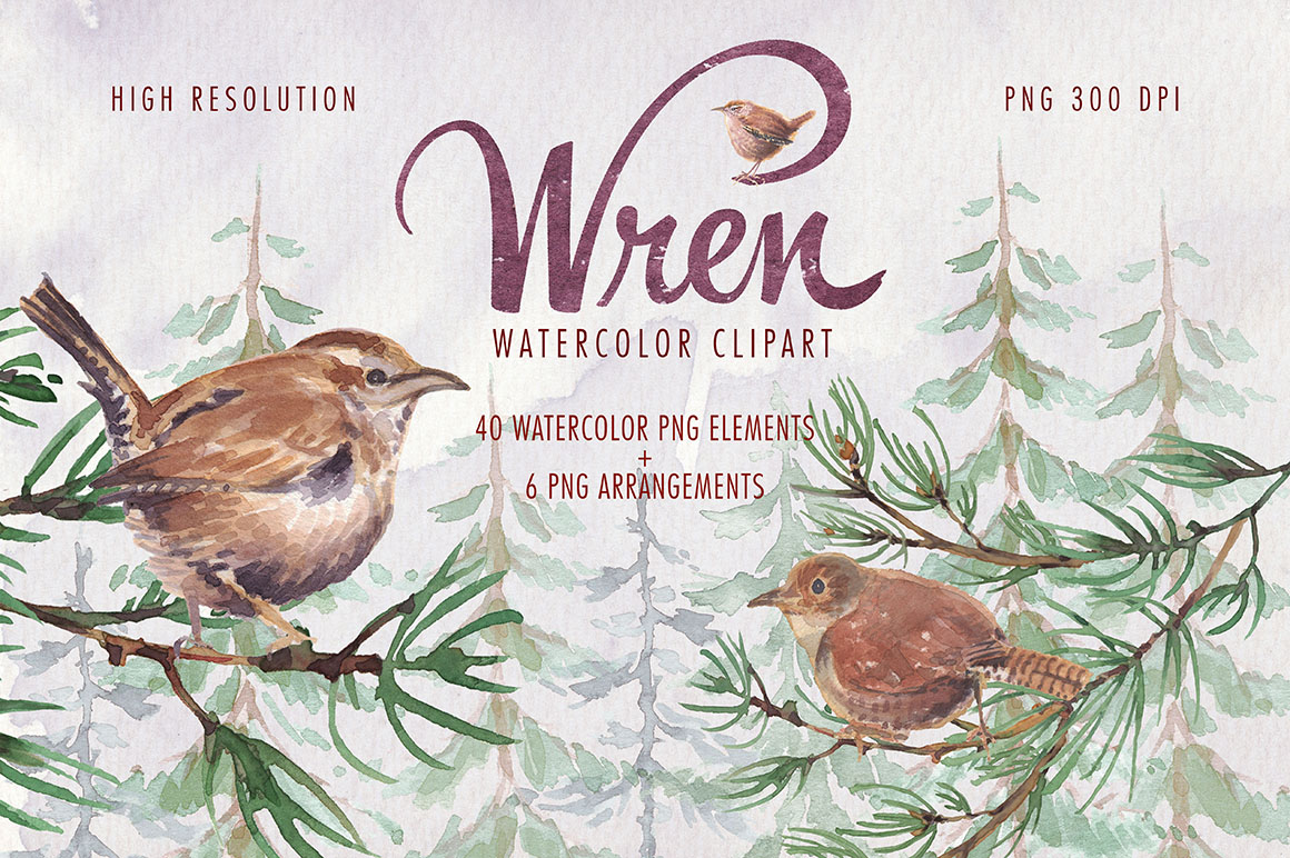 1160x772 Watercolor Wren Bird Clipart Set