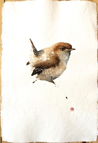 330x480 Wren Watercolour 22 X 15 Karl Martens Cricket Fine Art