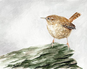340x270 Wren Watercolor Etsy