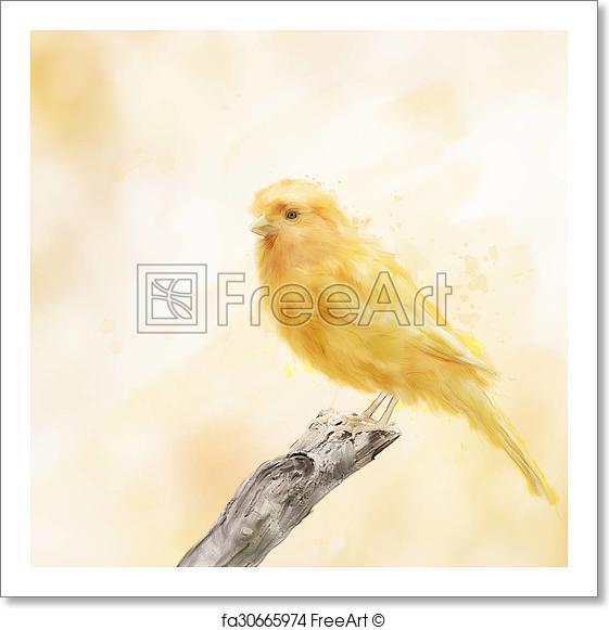 561x581 Free Art Print Of Yellow Bird Watercolor. Digital Painting Of