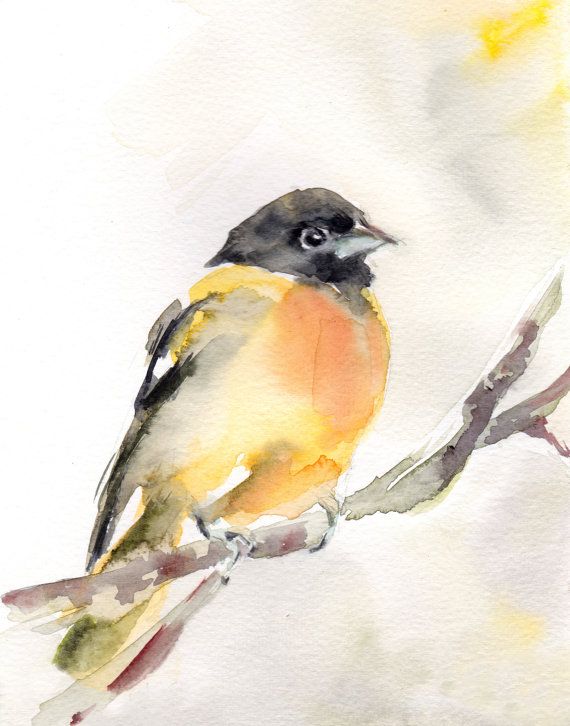 570x726 Oriole Bird Watercolor Painting Art Print, Yellow Bird Watercolour