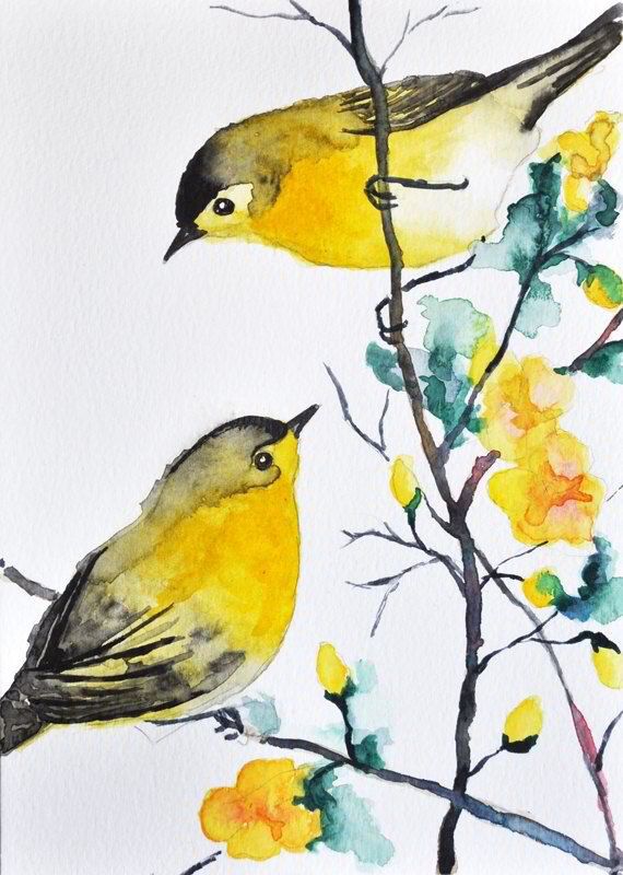 570x800 Pin By Jean Carl On Watercolor...... Bird