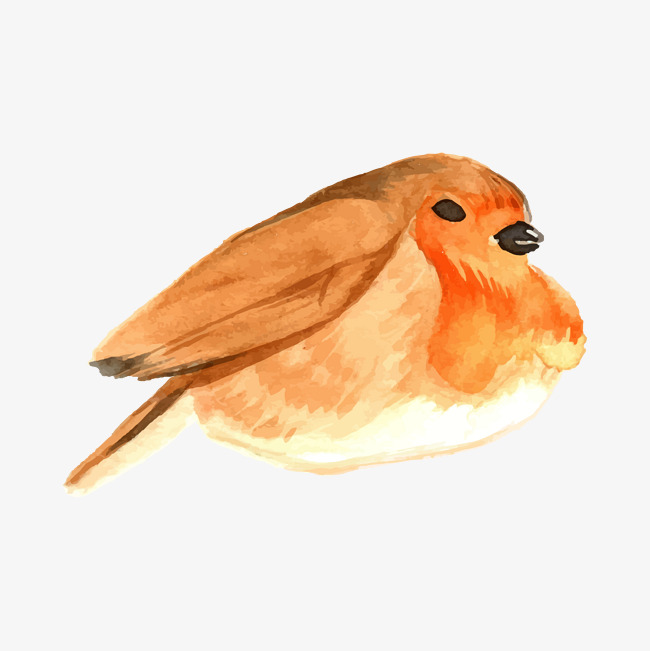 650x651 Watercolor Bird, Watercolor Vector, Bird Vector, Yellow Png And