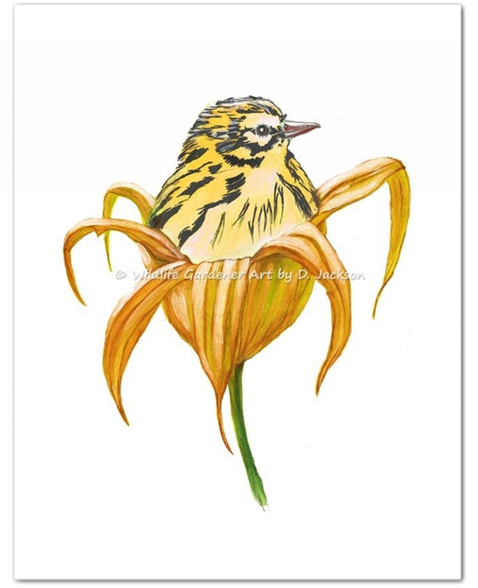 1600x1969 Yellow Bird In Orange Lily Flower Watercolor Art Print Wildlife