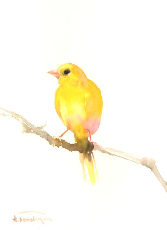 567x780 Yellow Bird Paintings