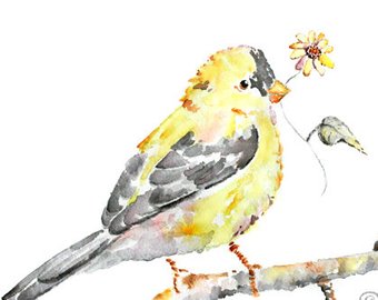 340x270 Yellow Bird Art Etsy