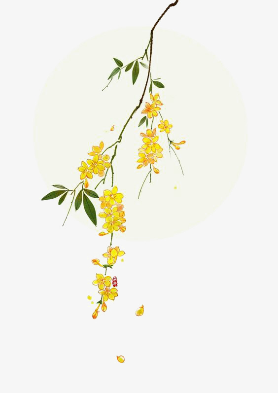 564x797 Watercolor Flowers, Watercolor Clipart, Flower Decoration, Ink