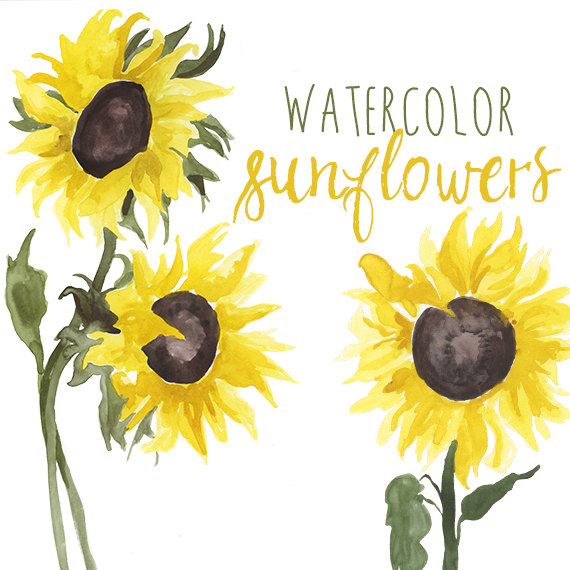 570x570 Yellow Flower Clipart Bright Flower