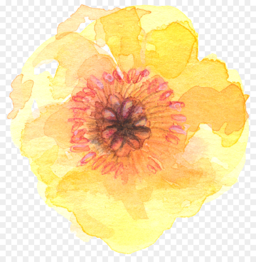 900x920 Flower Watercolor Painting Yellow