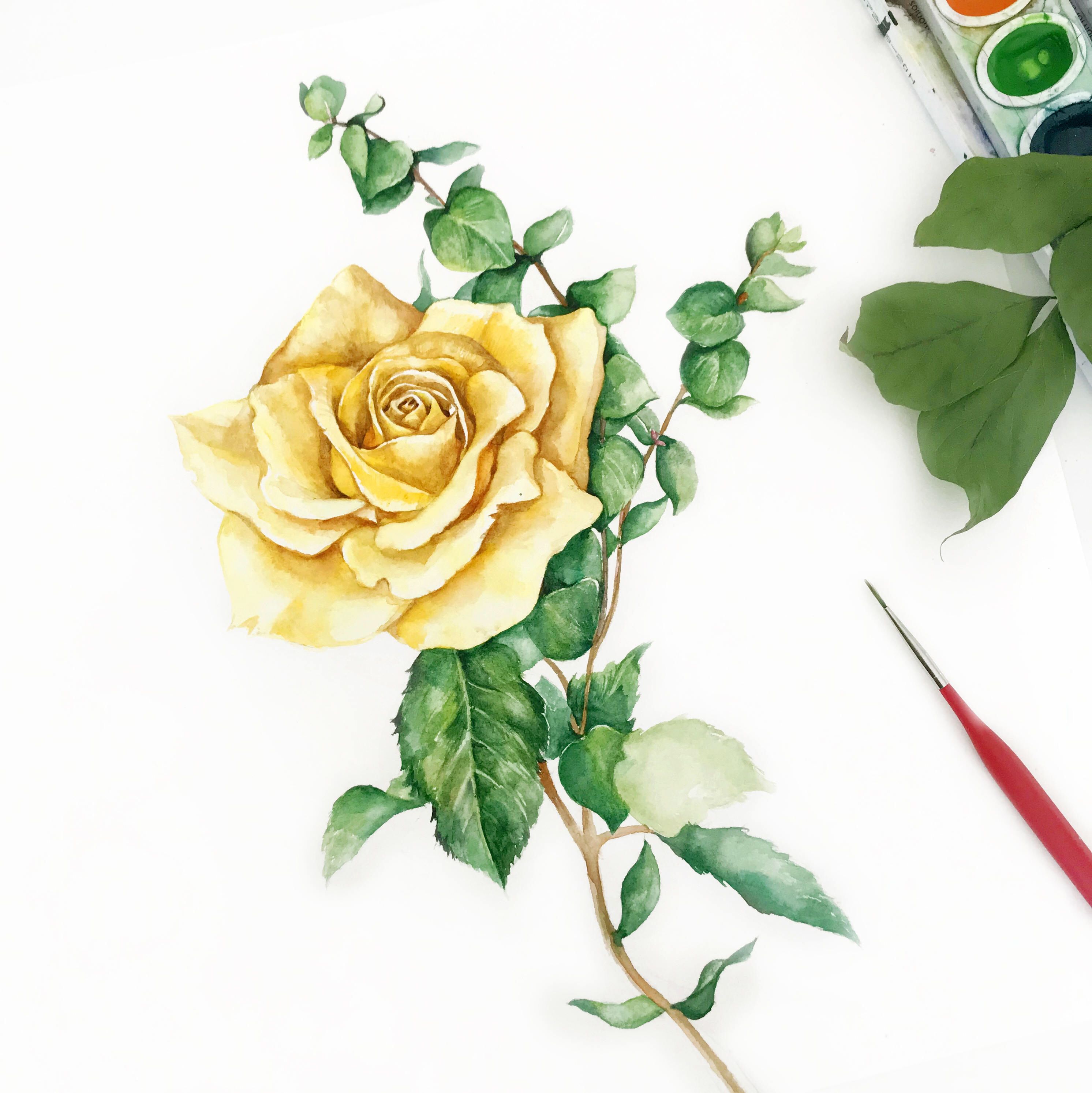 2984x2988 Original Watercolor Painting Yellow Rose, Watercolor Rose Painting
