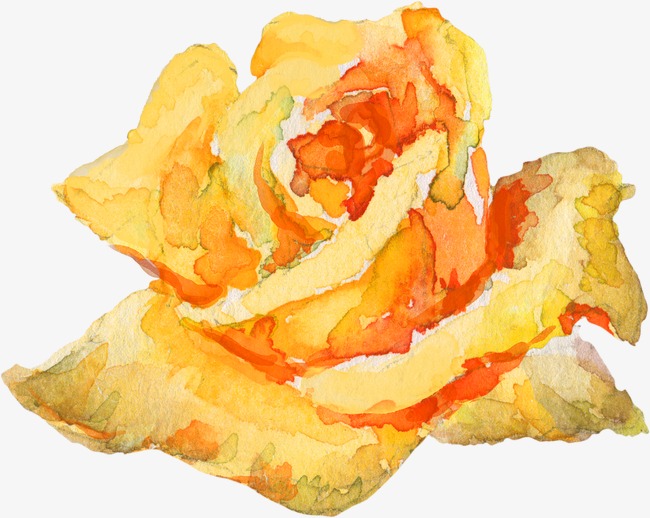 650x518 Yellow Rose, Rose Clipart, Watercolor Flowers, Flowers Png Image