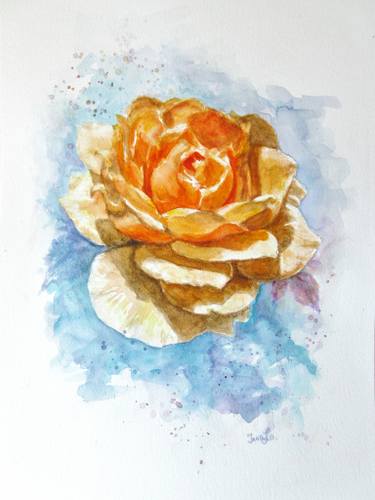 375x500 Yellow Rose